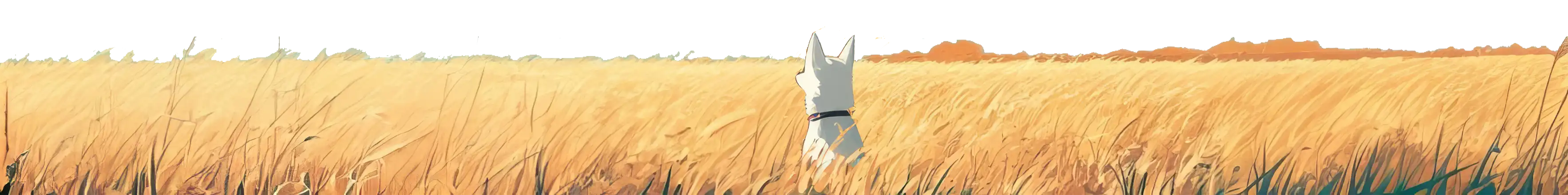 Grass Background